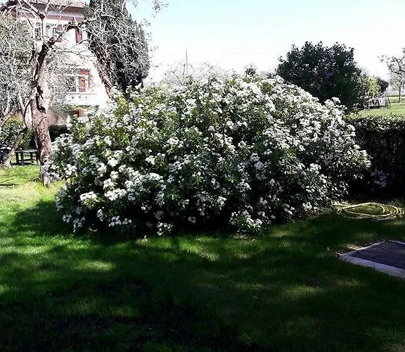 Cascina La Scala Lejlighed Salò